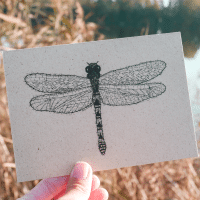 Hannibelle ansichtkaart graspapier libelle