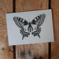 Hannibelle ansichtkaart graspapier vlinder